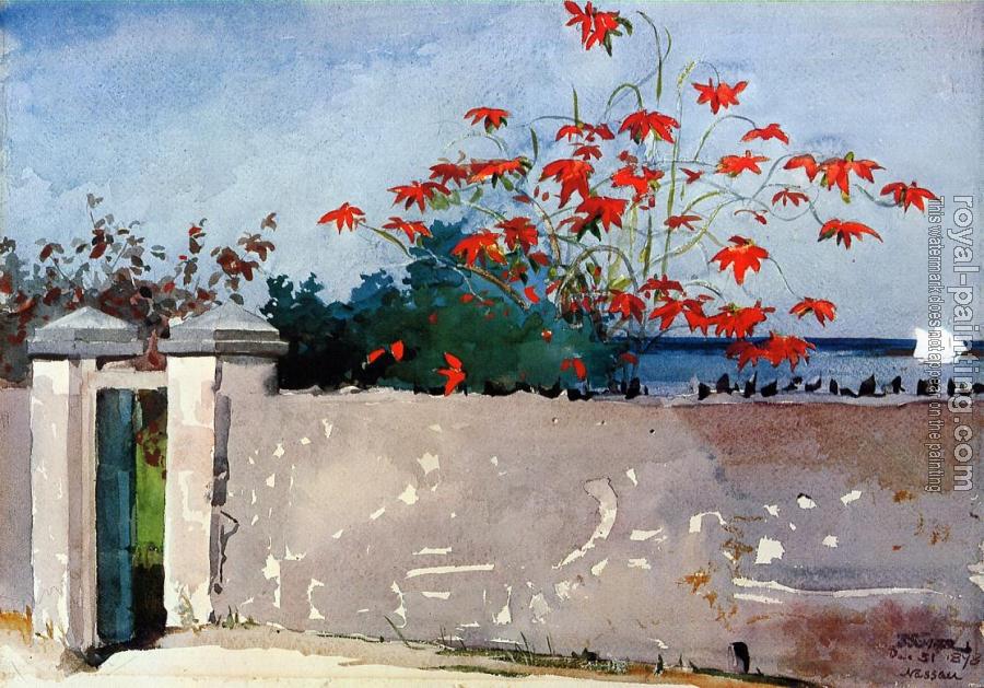 Winslow Homer : A Wall, Nassau II